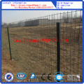 PVC Coated Holland Wire Mesh / Farm Fence